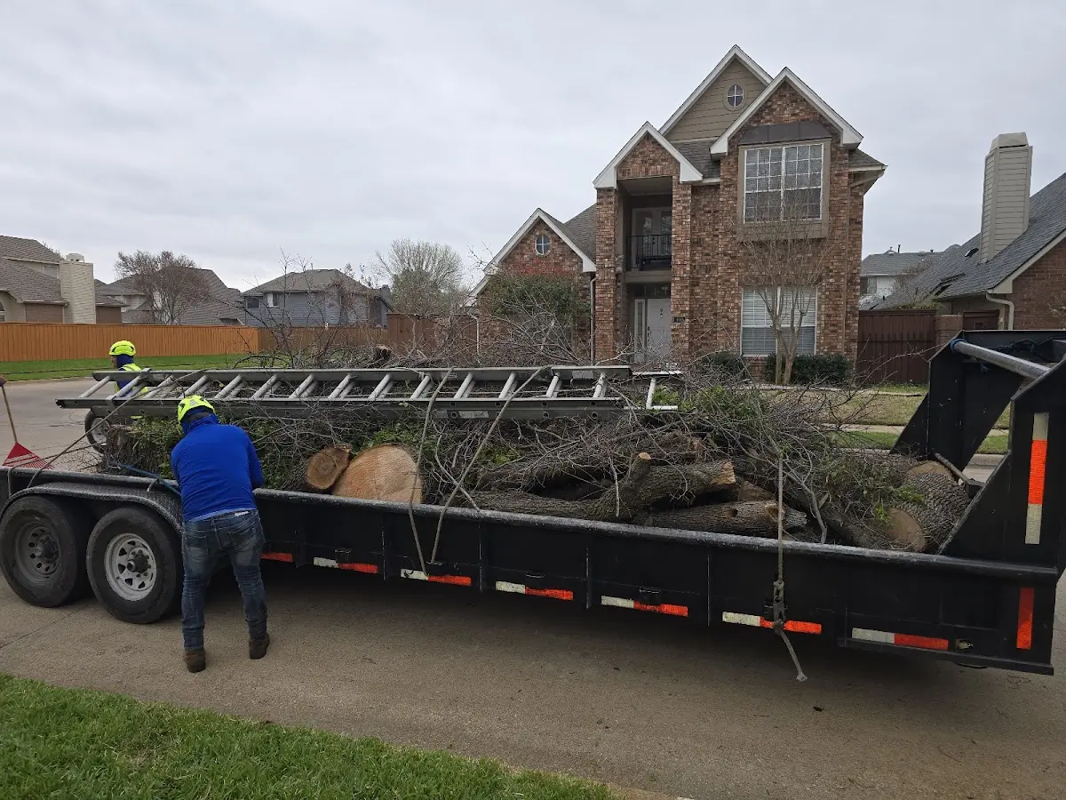 Expert Lot Clearing with proper safety equipment in Lerona